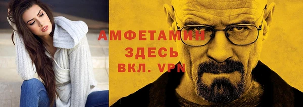 прущая мука Вяземский