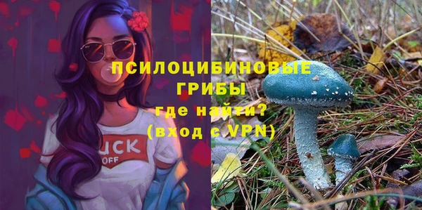прущая мука Вяземский