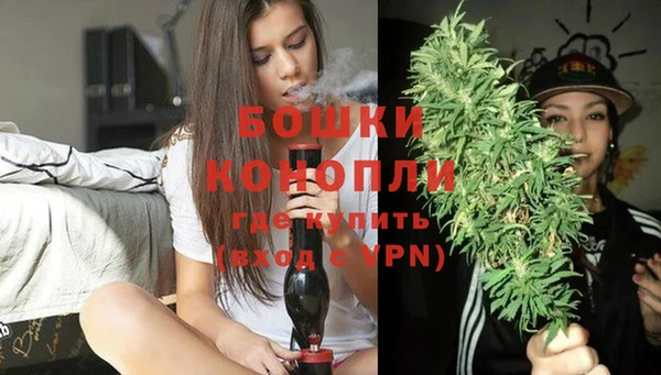 ПСИЛОЦИБИНОВЫЕ ГРИБЫ Вязьма
