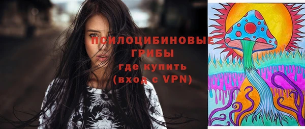 прущая мука Вяземский