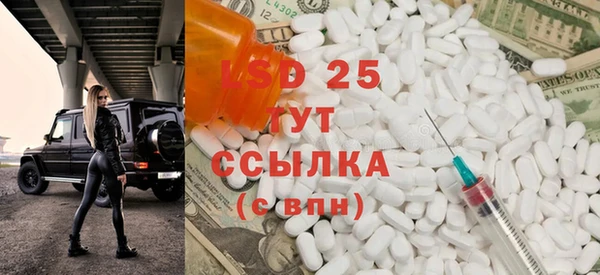 ПСИЛОЦИБИНОВЫЕ ГРИБЫ Вязьма