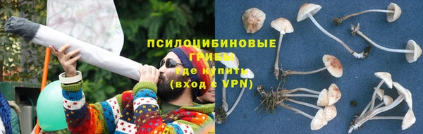 мяу мяу мука Новосибирск